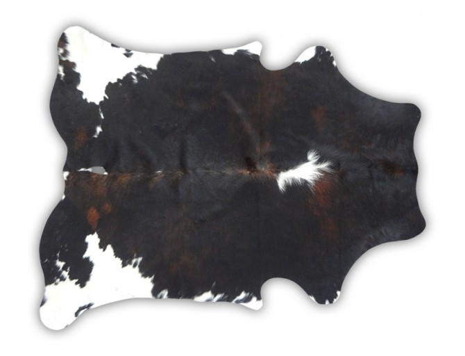 Cowhide Rug Special Offer 2157 - Click Image to Close